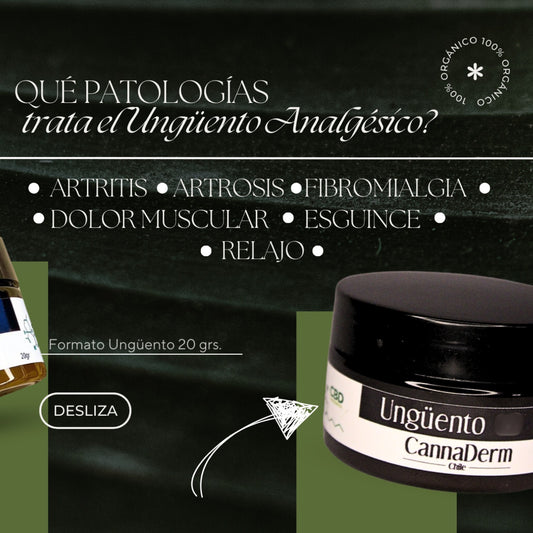 Ungüento Analgesico 20gr