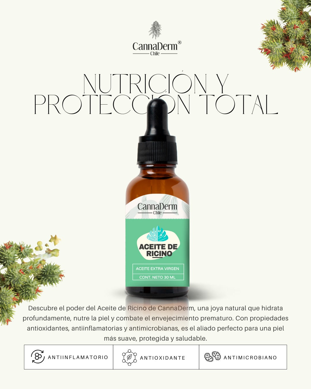 Aceite De Ricino - 30ml