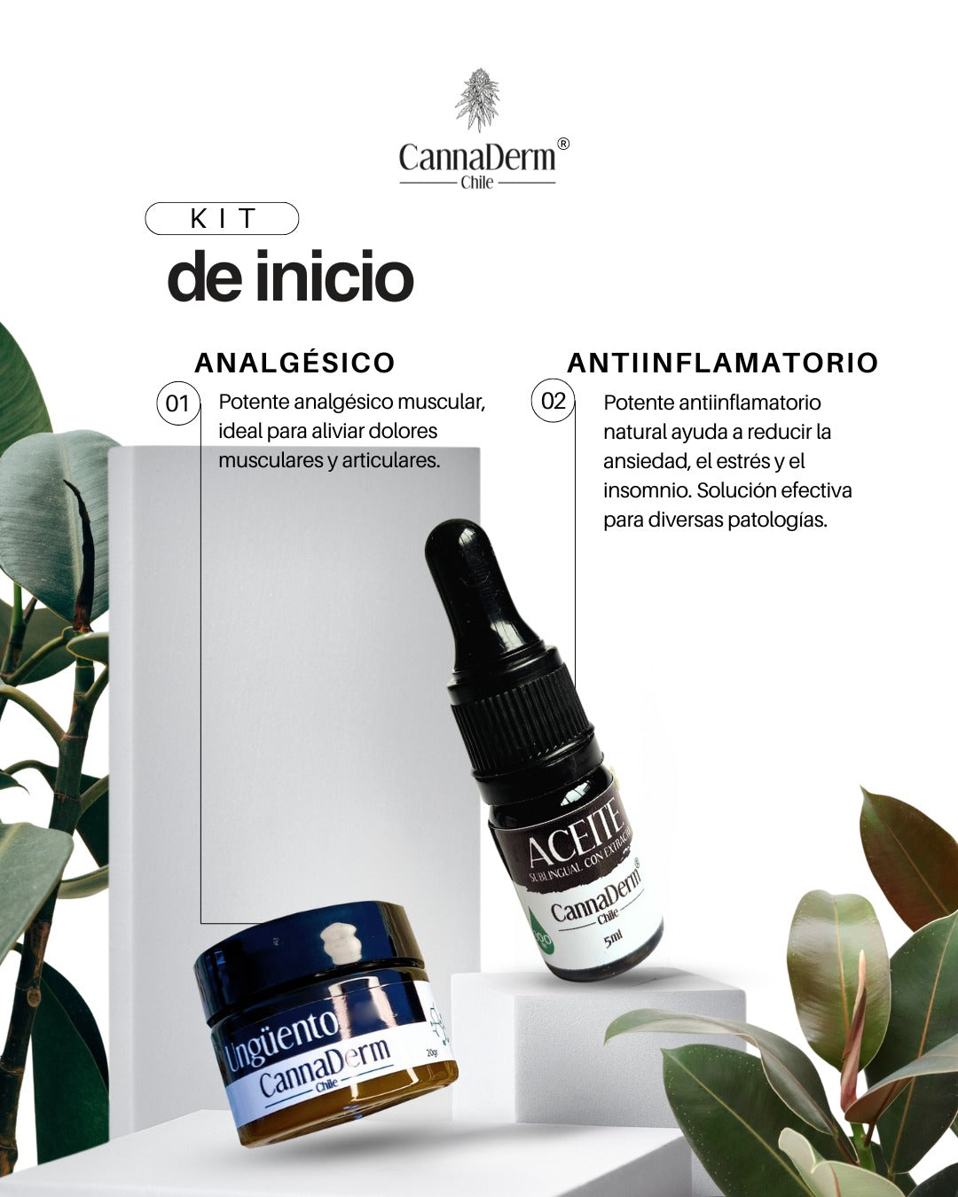Kit Inicio