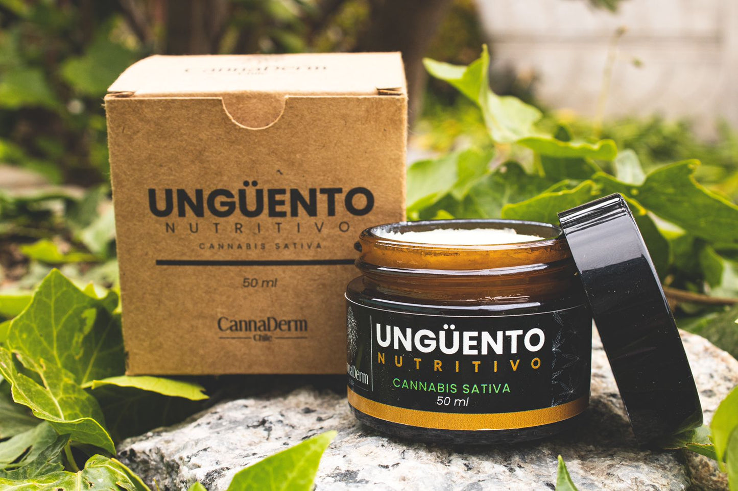 Ungüento Nutritivo Corporal de Cannabis sativa-50gr