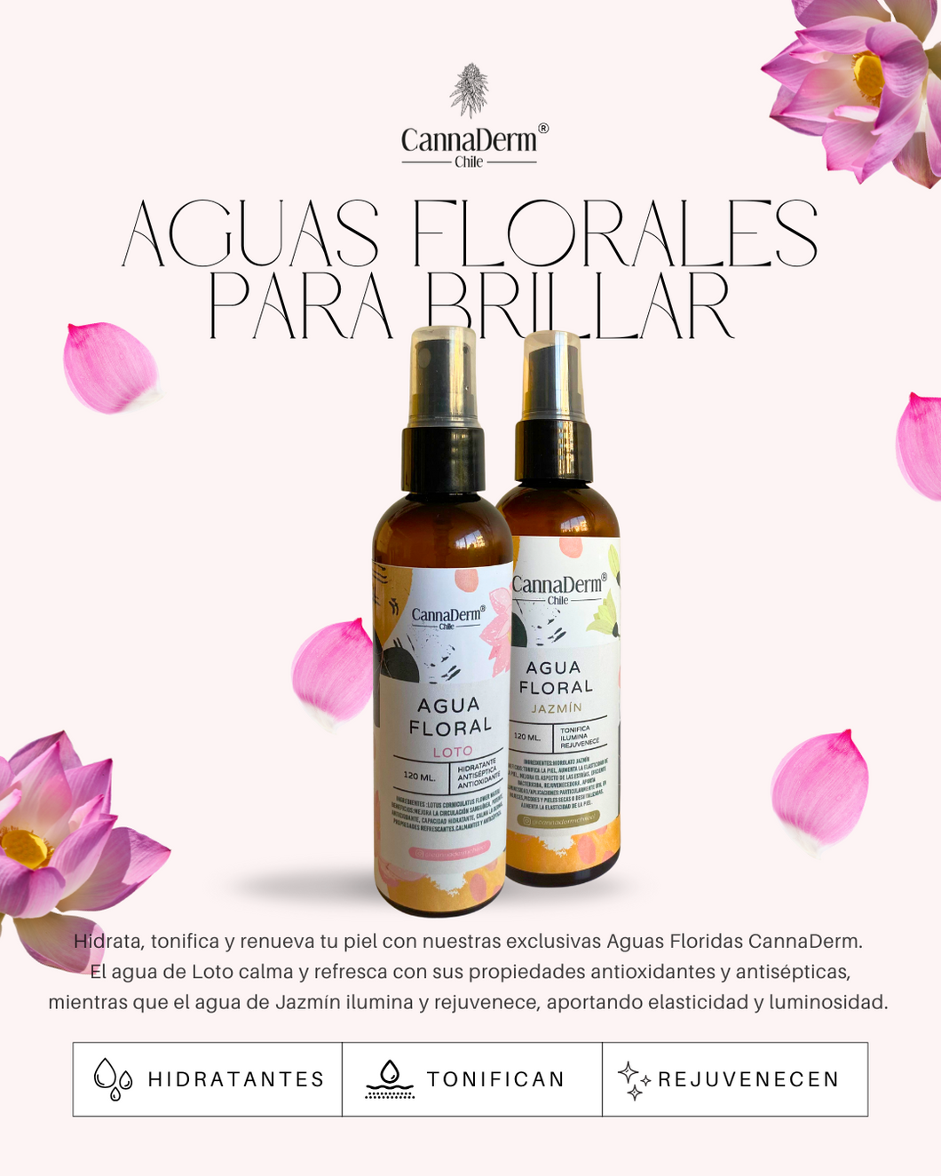 Aguas Florales