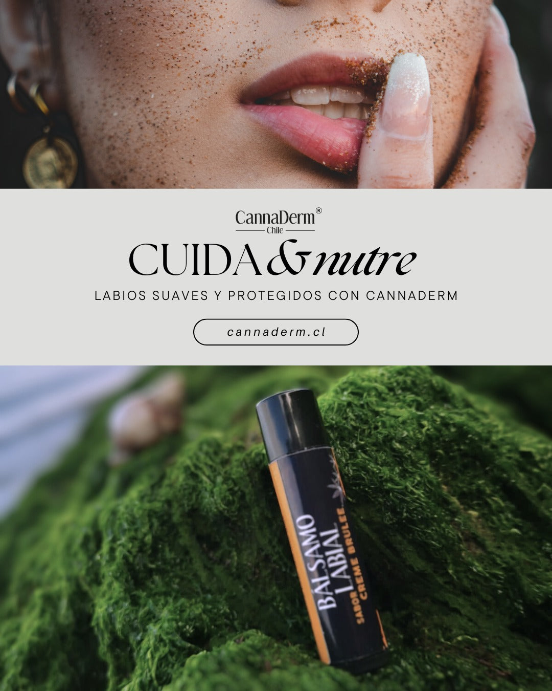 Bálsamo Labial Cbd