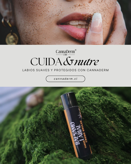 Bálsamo Labial Cbd